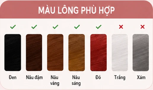 Màu lông phù hợp với MLay T25C