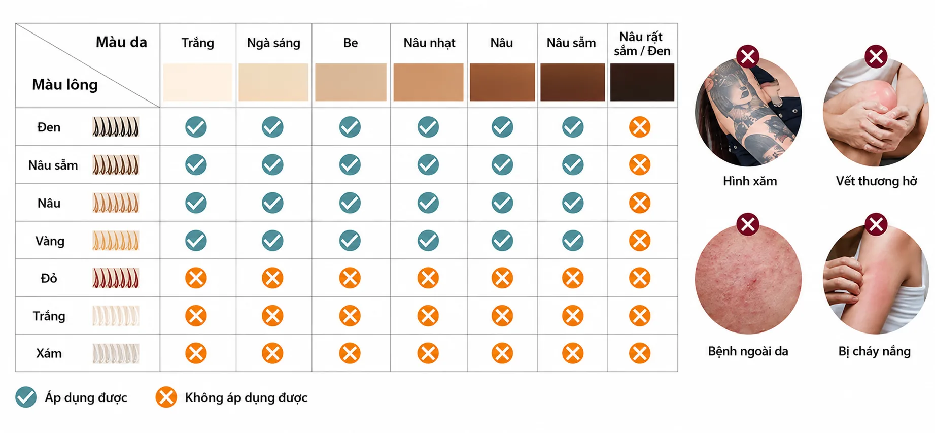 Bảng màu da và màu lông phù hợp với MLay T11