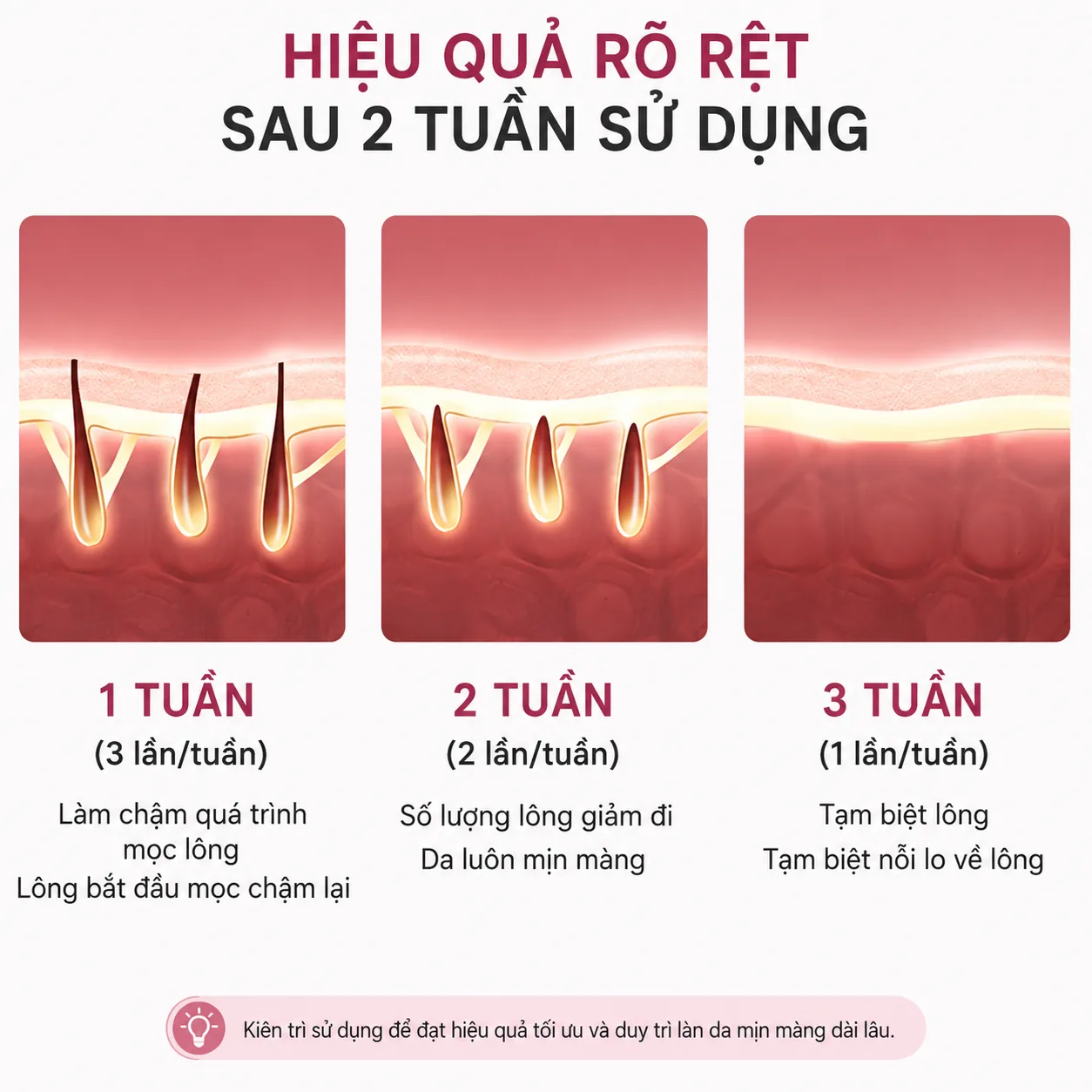 Lộ trình hiệu quả MLay T11 sau 2 tuần