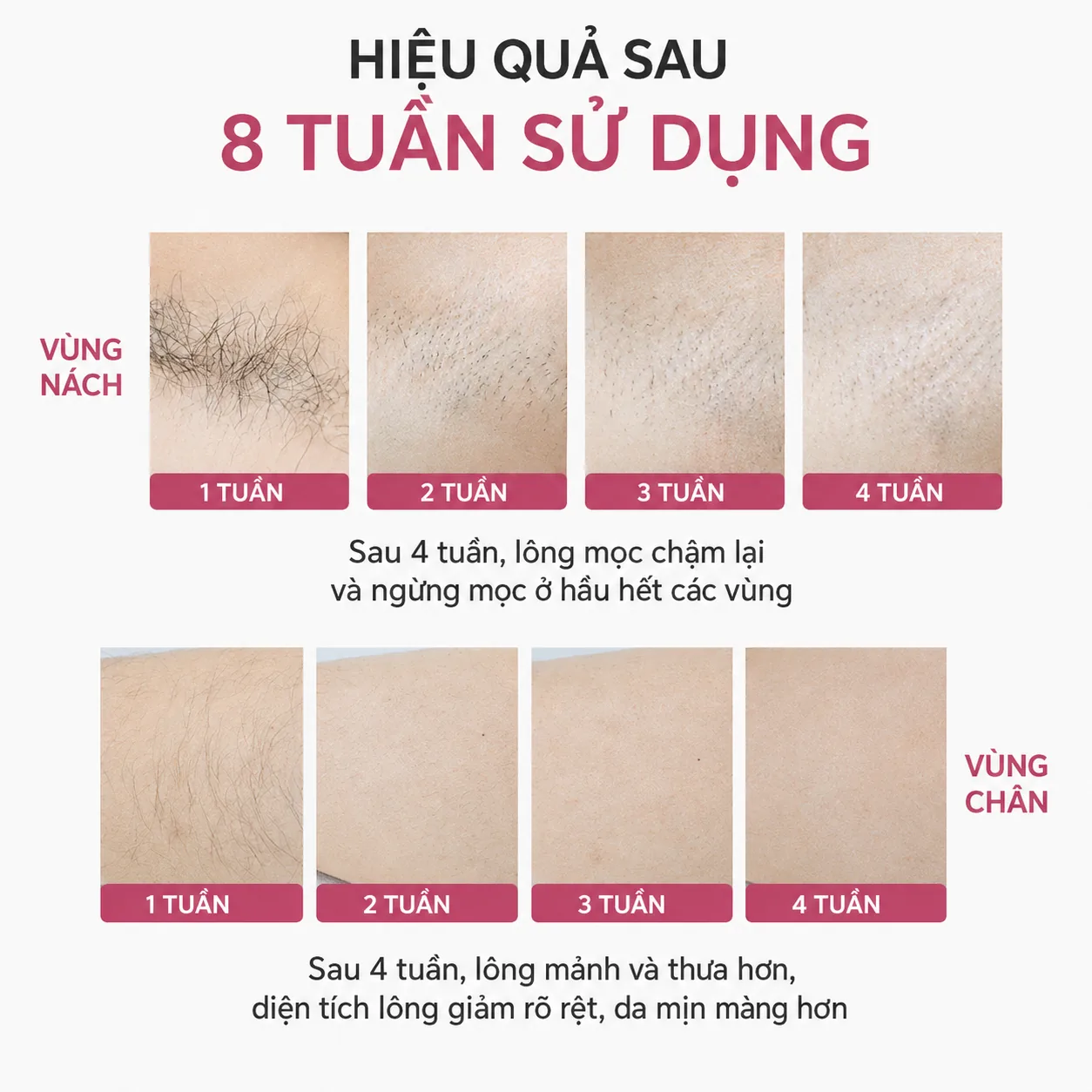 Lộ trình hiệu quả MLay T11 sau 8 tuần