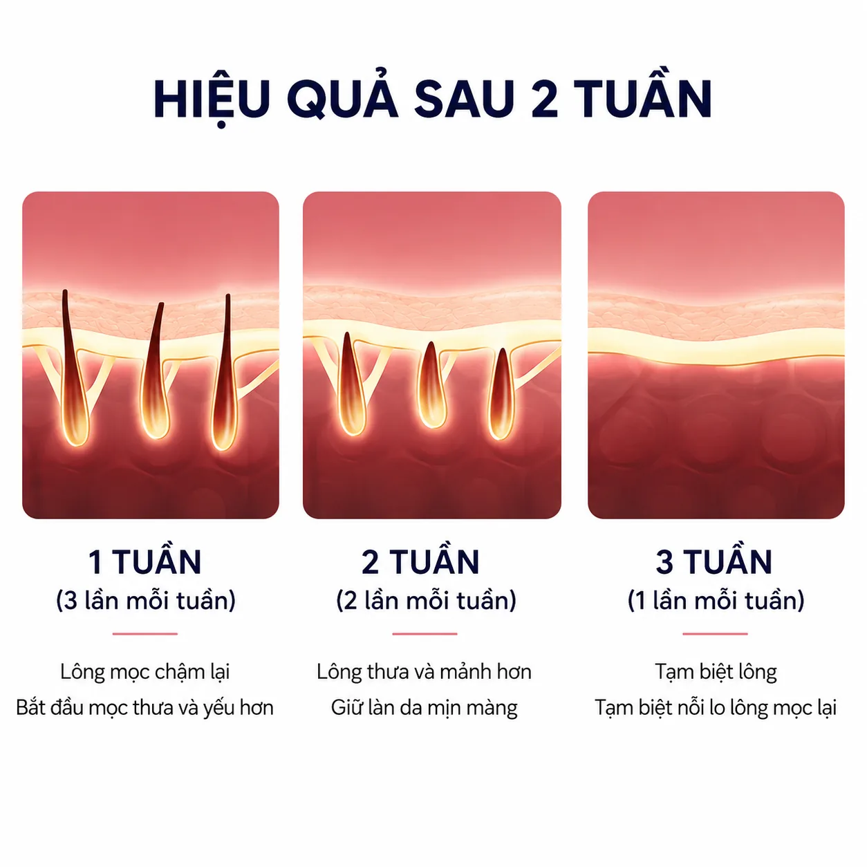Lộ trình hiệu quả MLay T14 sau 2 tuần