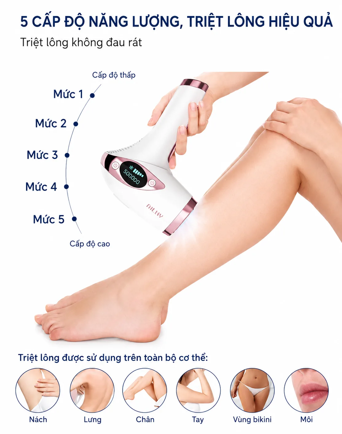 5 cấp độ năng lượng của MLay T4