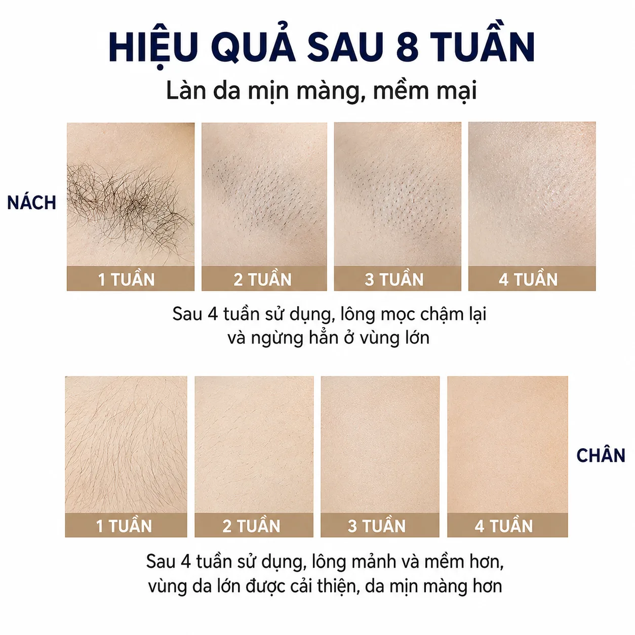 Lộ trình hiệu quả của MLay T4 sau 8 tuần