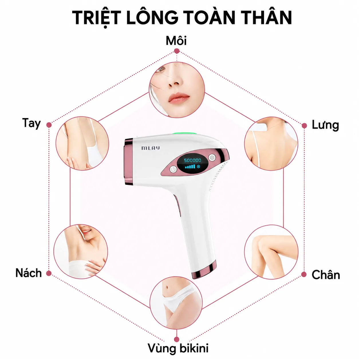 Các vùng sử dụng MLay T4 trên cơ thể